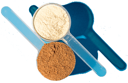 Two BodyLean25 scoops, one filled with Chocolate and the other with Vanilla.